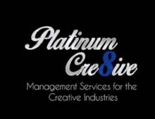 Platinum Cre8ive logo Management Services for the creative industries